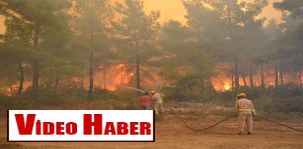 Gelibolu'daki orman yangını 100 hektara çıktı