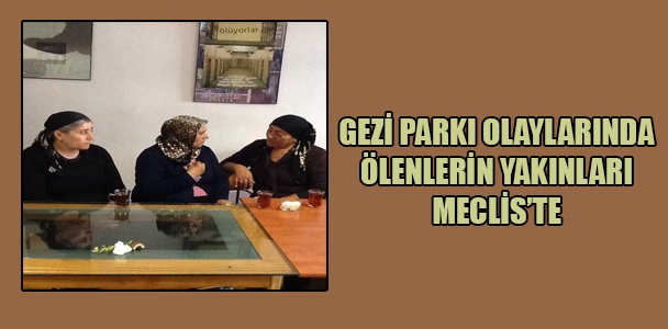 Gezi Parkı olaylarında ölenlerin yakınları meclis'te
