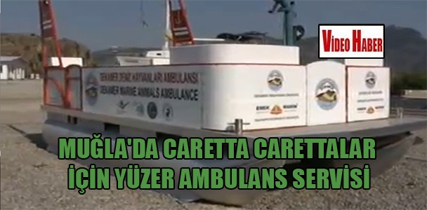 Muğla'da Caretta Carettalar için yüzer ambulans servisi
