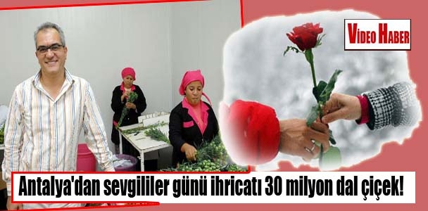 Antalya'dan sevgililer günü ihricatı 30 milyon dal çiçek
