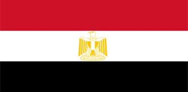 Mısır'da referandum başladı