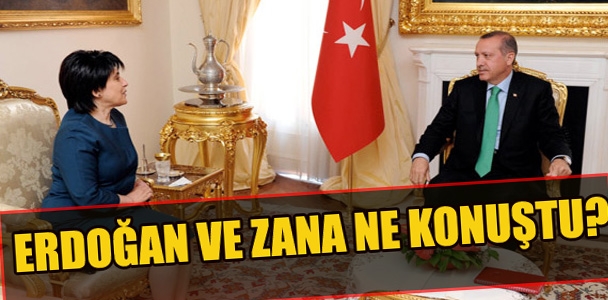 Erdoğan ve Zana ne konuştu?