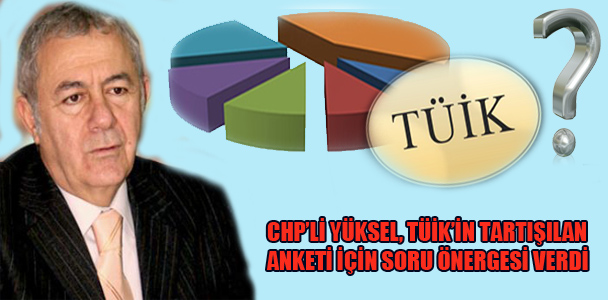 CHP'li Yüksel, TÜİK'in tartışılan anketi için soru önergesi verdi