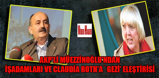 AKP'li Müezzinoğlu'ndan işadamları ve Claudia Roth'a `Gezi' eleştirisi