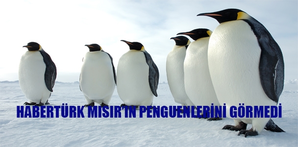 Habertürk Mısır'ın penguenlerini görmedi