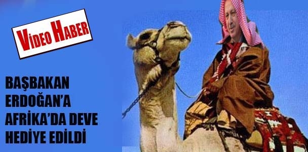 Başbakan Erdoğan'a Afrika'da deve hediye edildi