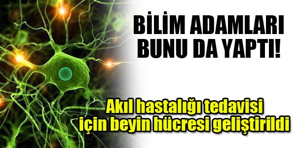 Akıl hastalığı tedavisi için beyin hücresi geliştirildi!
