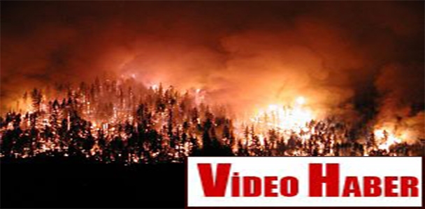 Bilecik'te 40 hektarlık orman yandı