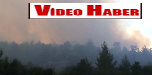 Mersin'de gece başlayan orman yangını söndürüldü