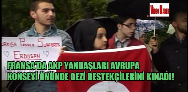 Fransa'da AKP yandaşları Avrupa Konseyi önünde Gezi destekçilerini kınadı!